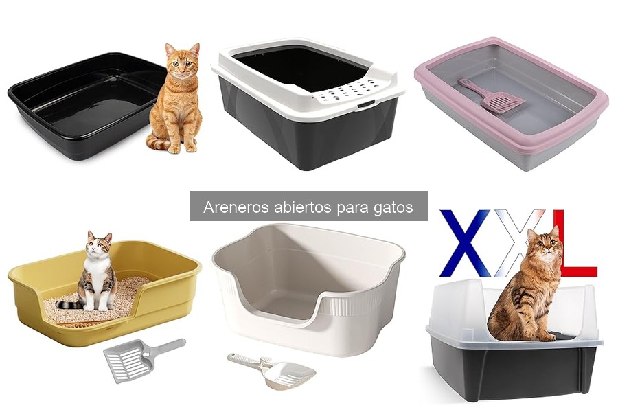 Alternativas Efectivas a los Areneros Abiertos para Gatos