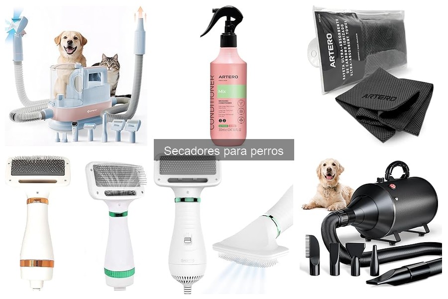 Alternativas efectivas a los secadores para perros