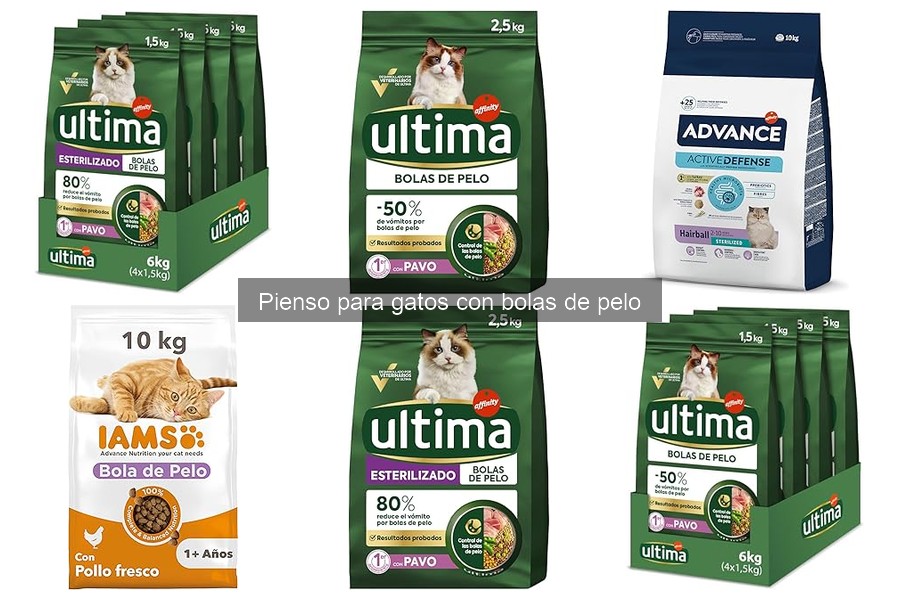Alternativas efectivas al pienso para gatos con bolas de pelo