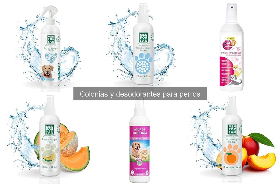 Alternativas naturales a colonias para perros
