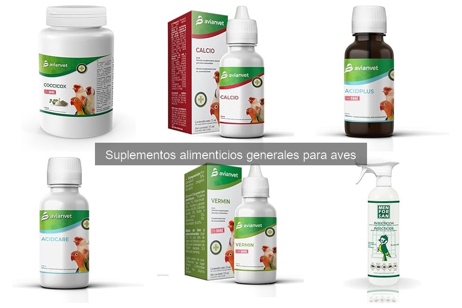 Alternativas naturales a los suplementos para aves