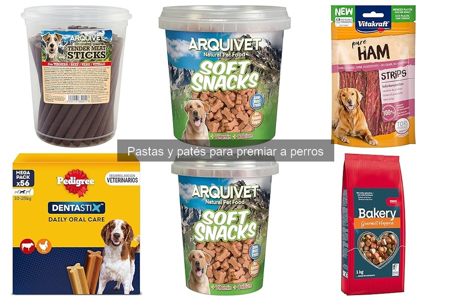 Alternativas naturales a pastas y patés para perros