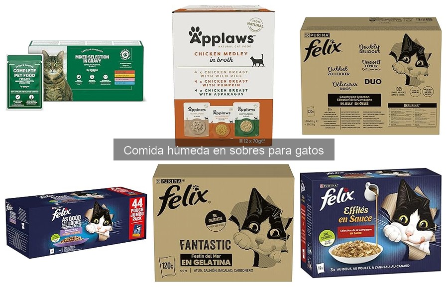 Alternativas para gatos que no comen comida húmeda