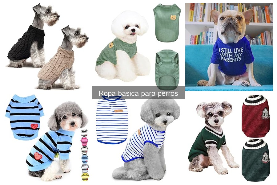 Alternativas refrescantes a la ropa para perros en climas cálidos