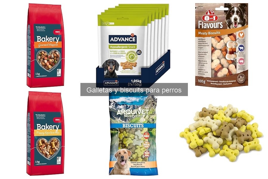 Alternativas Saludables a las Galletas para Perros