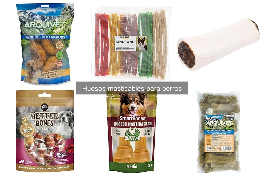 Alternativas saludables a los huesos masticables para perros