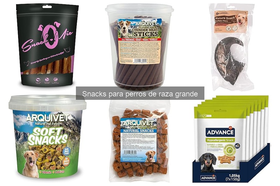 Alternativas saludables a los snacks comerciales para perros grandes