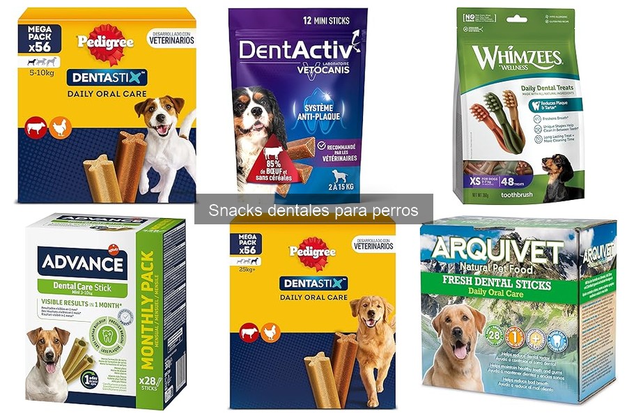 Alternativas saludables a los snacks dentales para perros