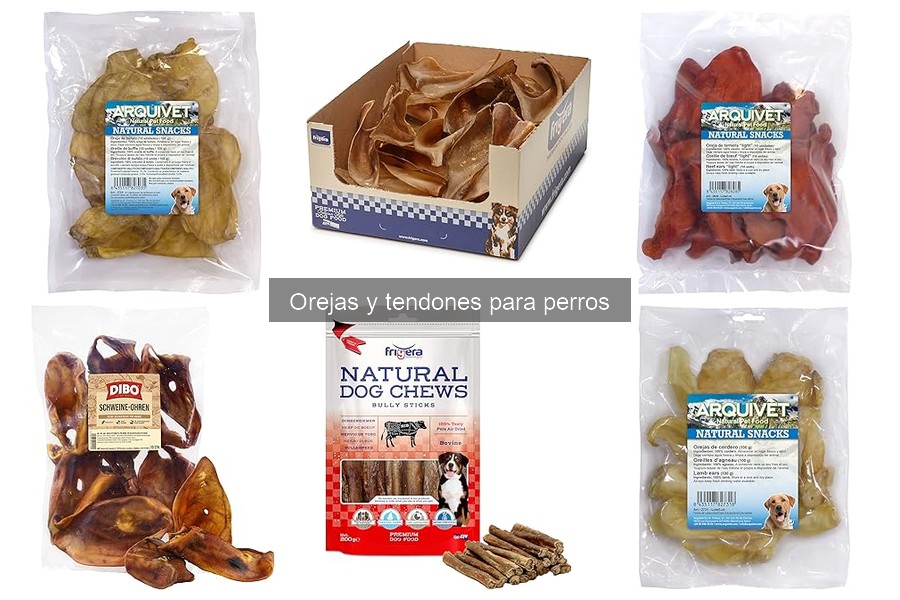 Alternativas saludables a orejas y tendones para perros