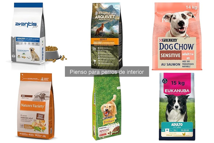 Alternativas Saludables al Pienso para Perros de Interior