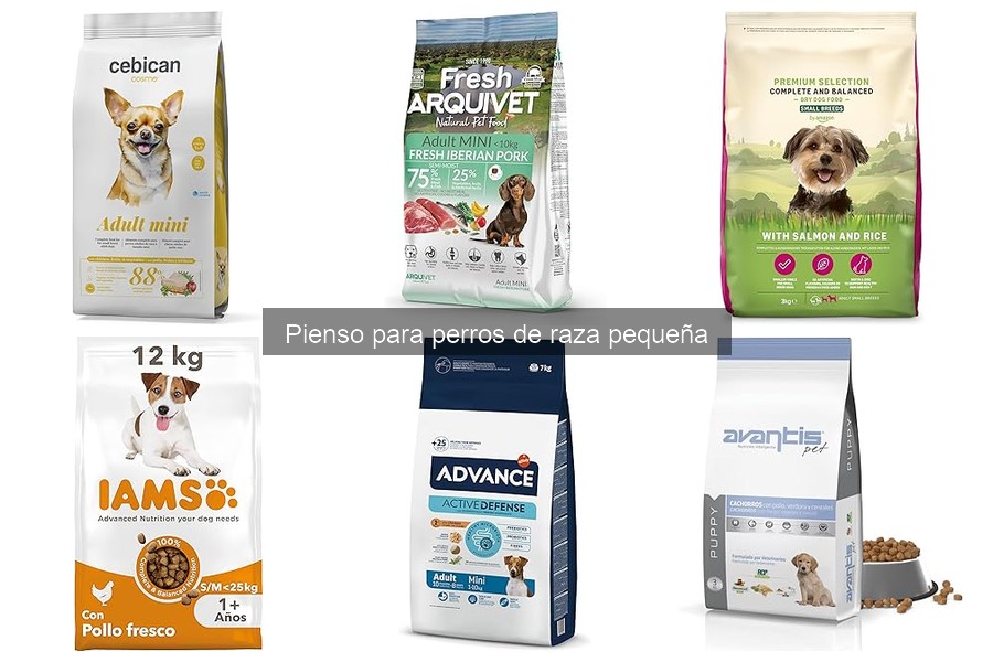 Alternativas saludables al pienso para perros de raza pequeña