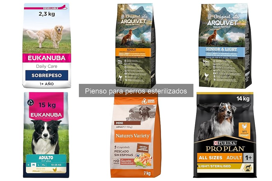 Alternativas saludables al pienso para perros esterilizados