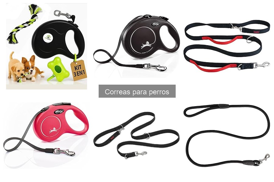 Análisis de correas personalizadas para perros: beneficios y opciones