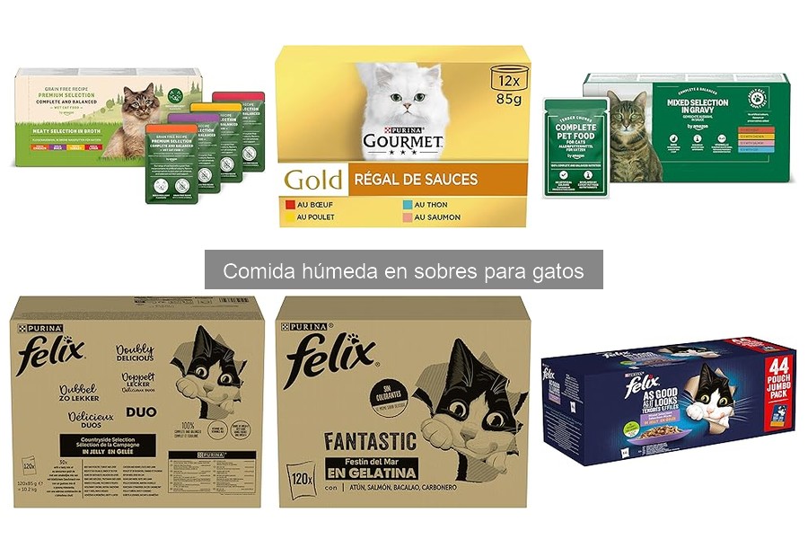 Análisis nutricional de la comida húmeda en sobres para gatos