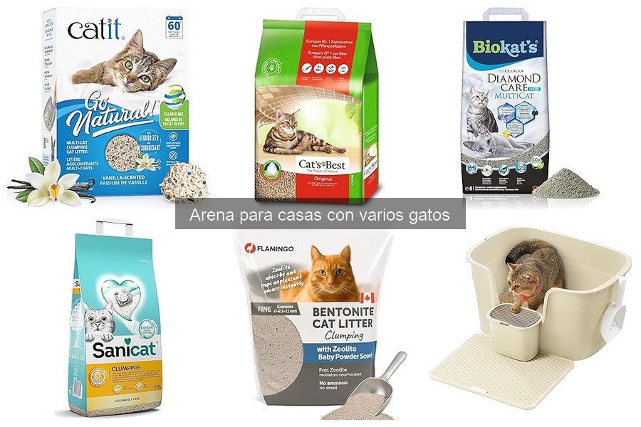 Arena adecuada para casas con varios gatos: guía completa