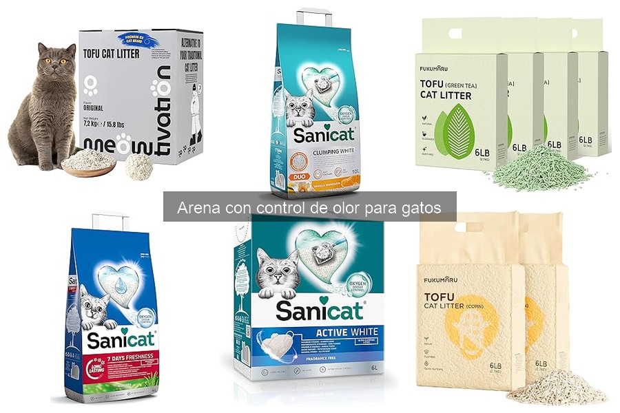 Arena con Control de Olor para Gatos: ¿Qué Es y Cómo Funciona?