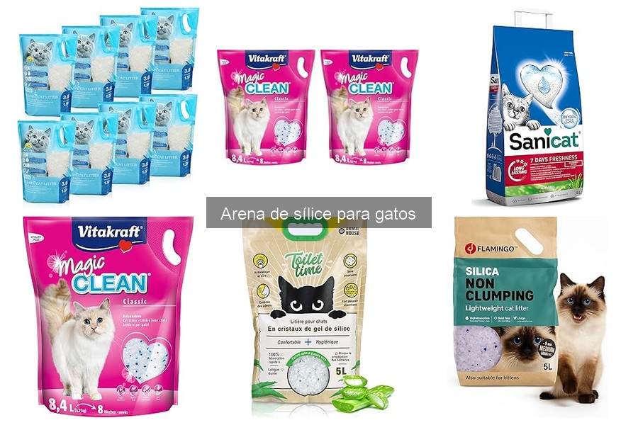 Arena de sílice para gatos: ¿Qué es y por qué elegirla?