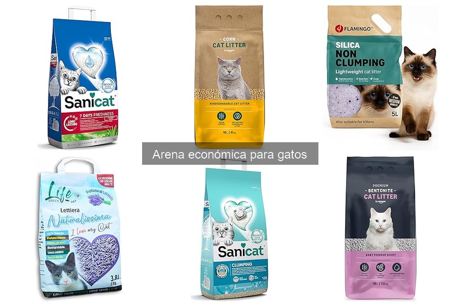 Arena Económica para Gatos: ¿Qué la Hace Especial?
