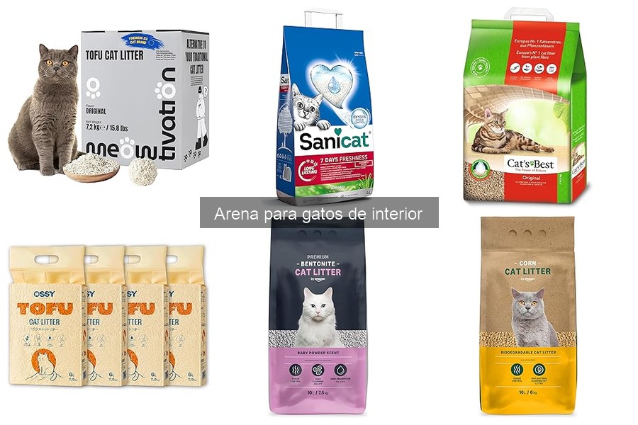 Arena ideal para gatos según su edad: recomendaciones