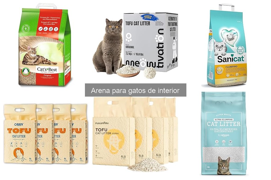 Arena para gatos: aglomerante vs. no aglomerante