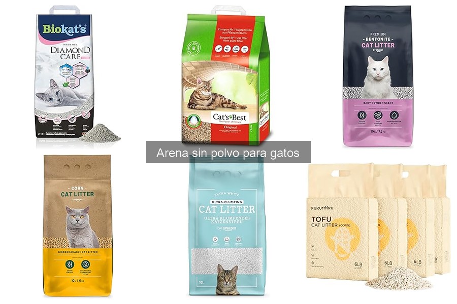 Arena Sin Polvo para Gatos: Beneficios y Características