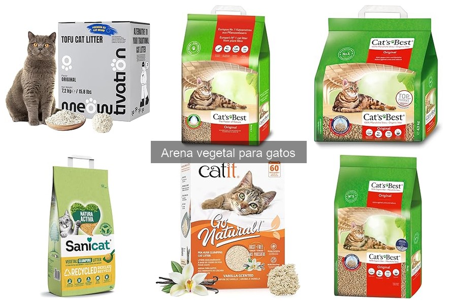Arena vegetal para gatos: ¿controla los olores eficazmente?