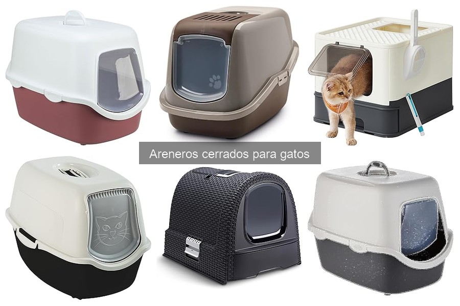 Areneros cerrados: ¿Controlan olores en tu hogar?