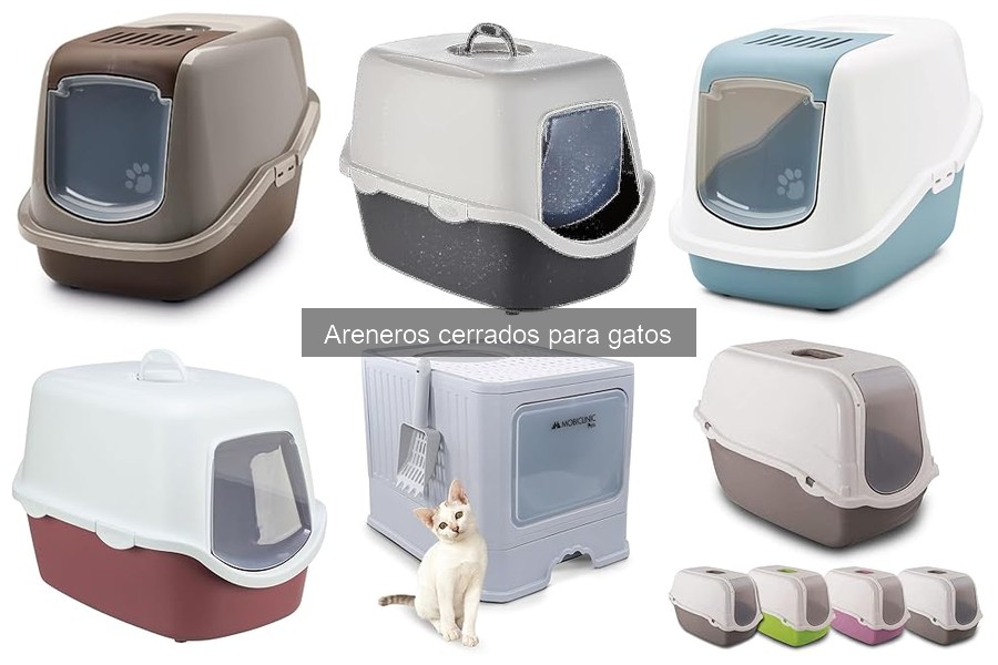 Areneros cerrados para gatos mayores: ¿son adecuados?
