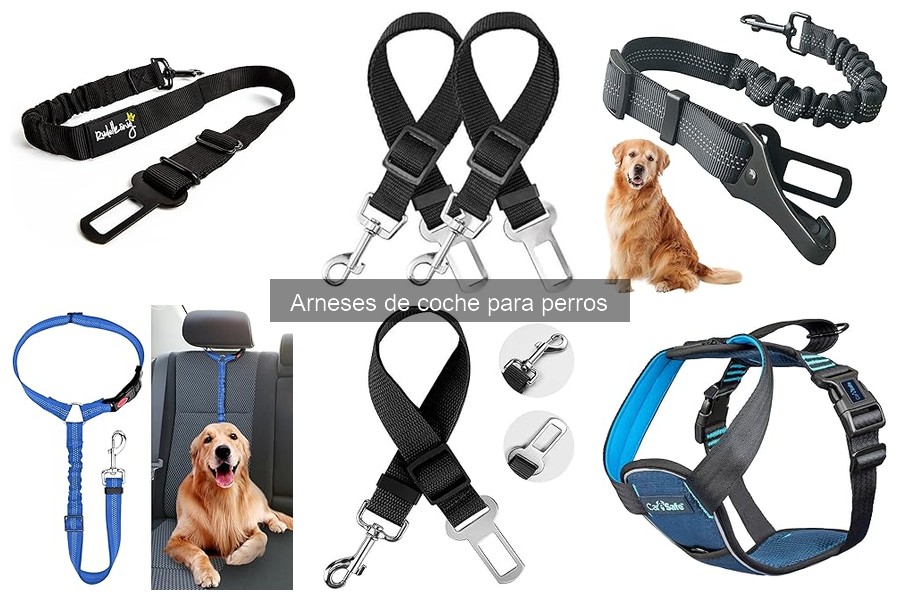 Arneses de coche para perros: ¿Qué son y cómo funcionan?