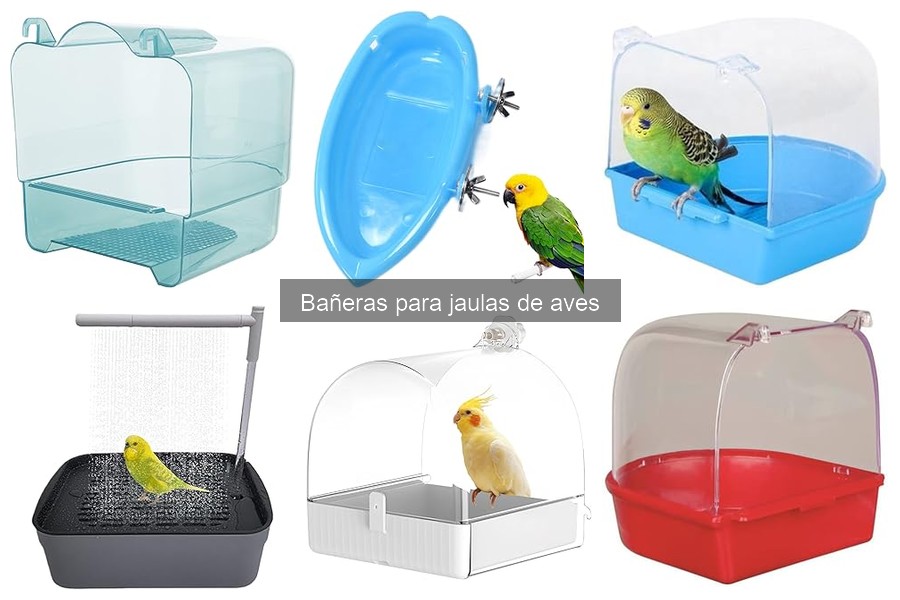 Bañeras para Jaulas de Aves: ¿Qué Son y Sus Funciones?