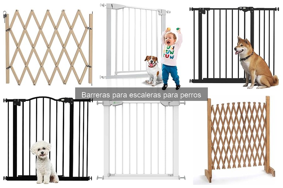 Barreras para escaleras para perros: ¿Qué son y para qué sirven?