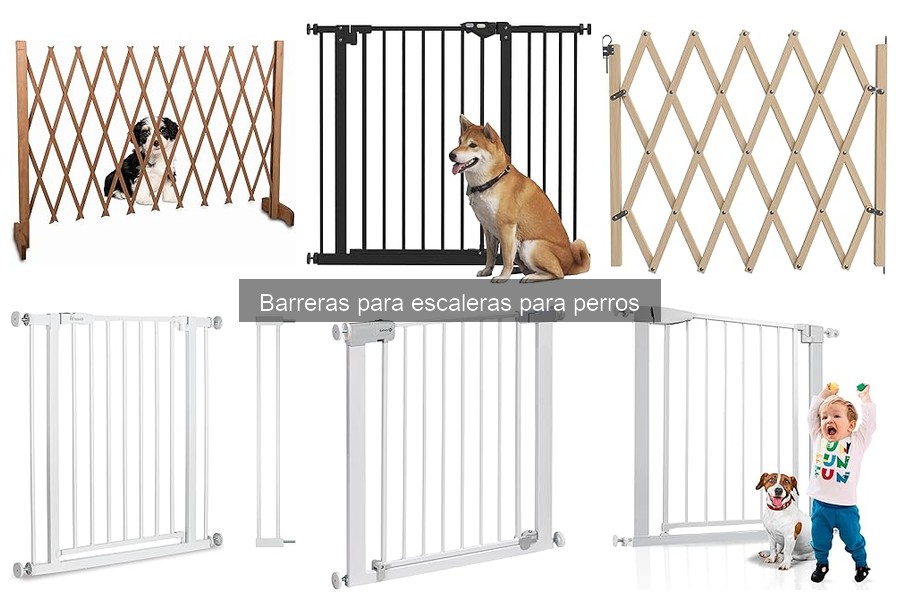 Barreras para escaleras recomendadas por veterinarios