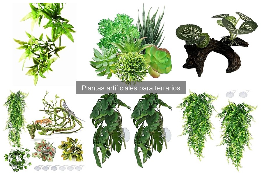 Beneficios ambientales de las plantas artificiales en terrarios