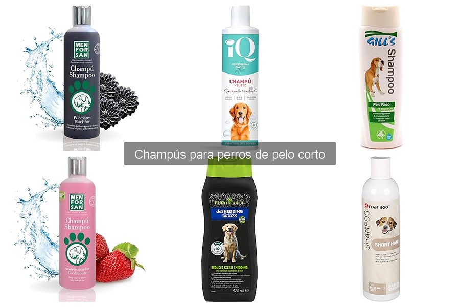 Beneficios de Champús Naturales para Perros de Pelo Corto
