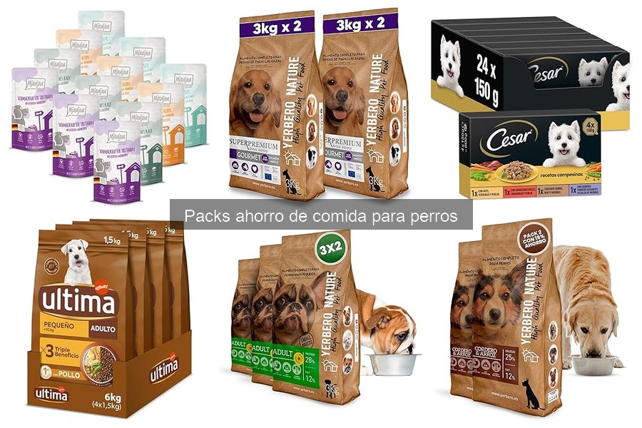 Beneficios de Comprar Packs de Comida para perros
