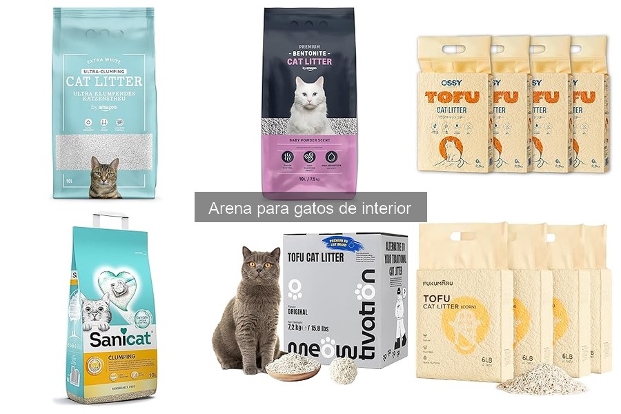 Beneficios de la arena biodegradable para gatos