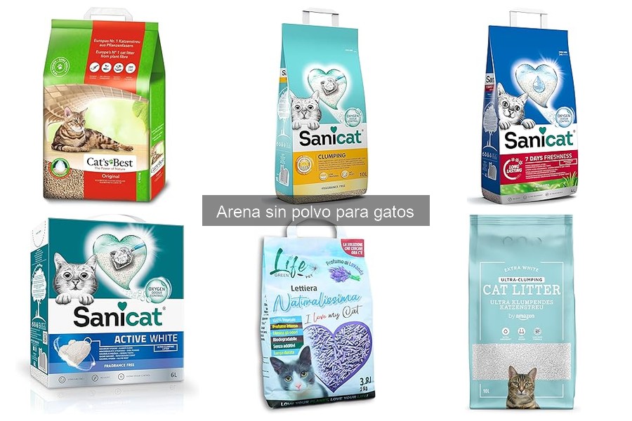Beneficios de la arena sin polvo para gatos alérgicos
