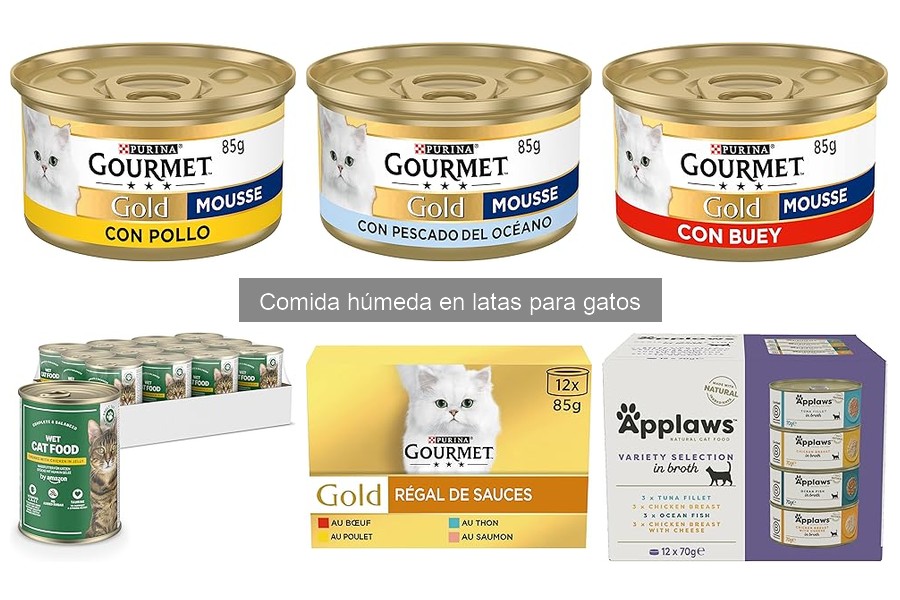 Beneficios de la comida húmeda en latas para gatos