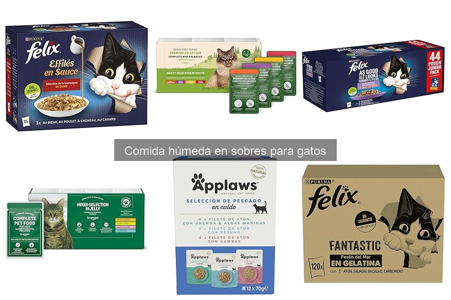 Beneficios de la comida húmeda para gatos frente a la seca