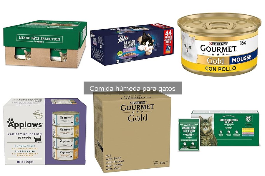 Beneficios de la comida húmeda para gatos: ¡Mejora su salud!