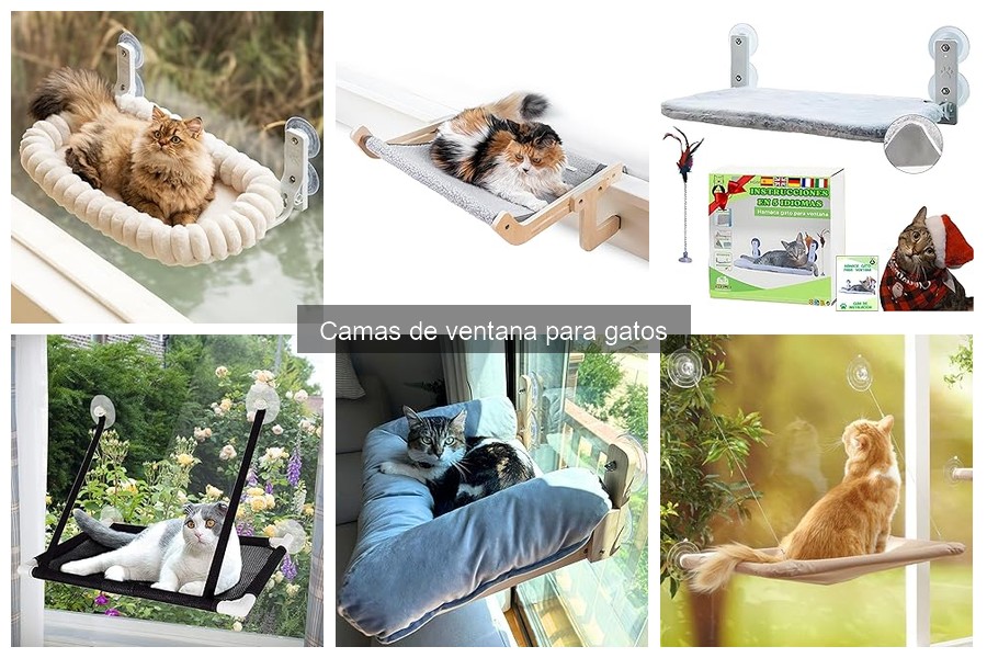 Beneficios de las camas de ventana para gatos