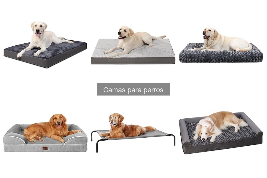 Beneficios de las camas elevadas para perros: ¡Descúbrelos!