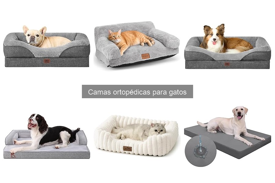 Beneficios de las camas ortopédicas para gatos
