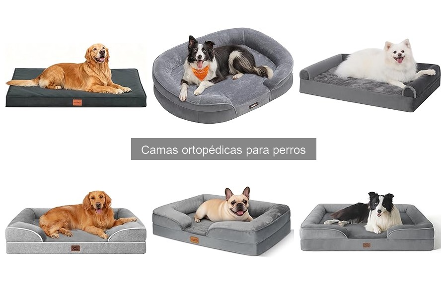 Beneficios de las camas ortopédicas para perros mayores