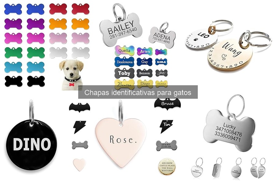 Beneficios de las chapas identificativas para gatos