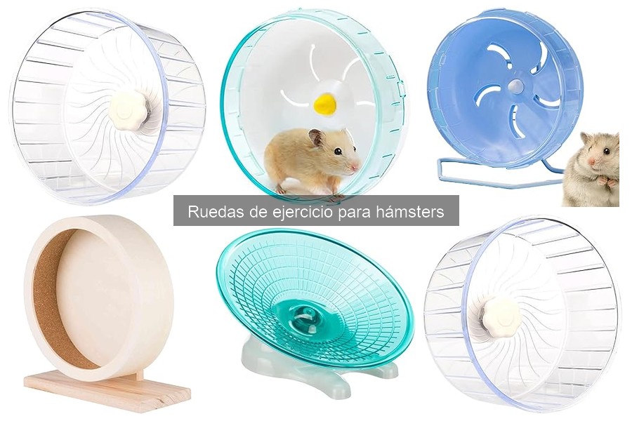 Beneficios de las ruedas de ejercicio para hámsters