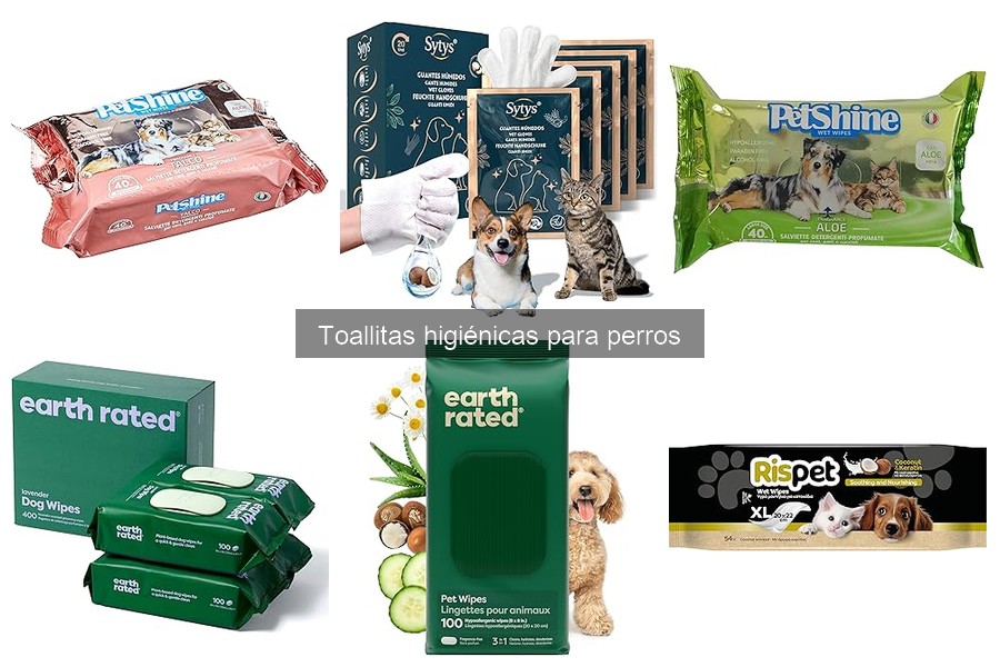 Beneficios de las toallitas higiénicas para perros