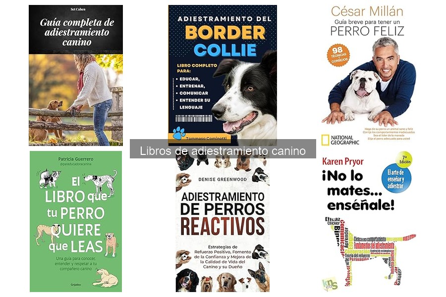 Beneficios de leer libros de adiestramiento canino