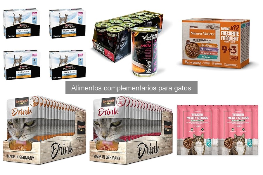 Beneficios de los Alimentos Complementarios para Gatos