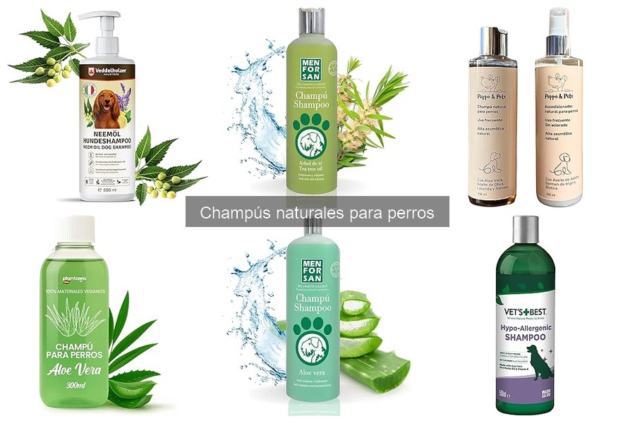 Beneficios de los Champús Naturales para Perros